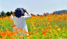 不必迎合他人，做最真實的自己！蘇軾教我們如何自信生活！