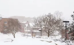 去了太古裏才發現：馬丁靴不興了！滿大街都是「寬腿褲+勃肯鞋」