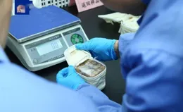 神十八歸來！帶回約34.6公斤「太空特產」，涵蓋28項科學實驗成果！