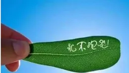 人品，決定人生高度！