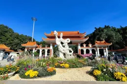 仙湖植物園秋花集隨筆：靜觀花開花落，悅納人間煙火