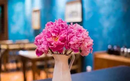 湖州市莫幹山的旅遊攻略？