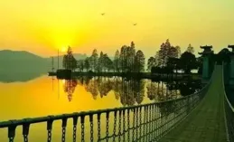 武漢湖心島被鳥糞染得像「下雪」，每天可看兩次「百鳥翻飛」，專家：鳥不儲存糞便