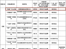 如何看待香港某獵頭怒批大陸某知名手機品牌不尊重員工的招聘要求，香港的就業環境是怎麽樣的?
