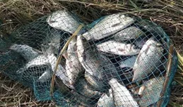 冬季野釣如何找魚窩？可遠觀看水色，也可近看找魚星