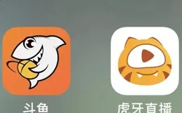 我從抖音、快手、b站上看了上百個寵物號，發現這還是一片藍海