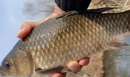 冬季釣魚新人該知道的：怎麽在「重障區」釣到魚