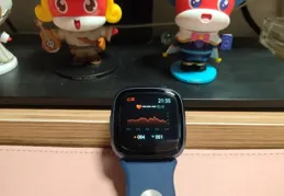 雙十一智慧型手錶有什麽推薦的品牌，主打健康監測的，？