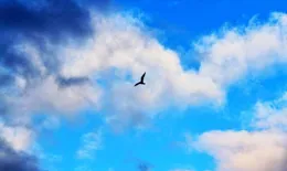 考研黨經常失眠焦慮，白天復習效率很低該怎麽辦？