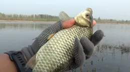 退水怎麽釣魚？找對方法，釣退水魚並不難