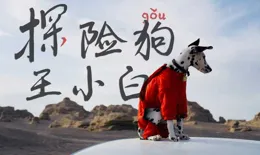 帶著狗旅行的生活如何？