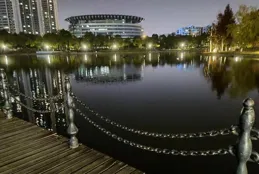 如何面對衰老、病痛與死亡：是選擇頑強抗爭，還是優雅離去？