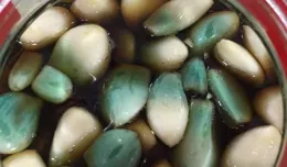 三十分鐘解決三天日常內容？【燕雲十六聲】「不肝」是真的！