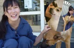 【千與千尋】裏最後千尋是怎麽知道那一群豬裏沒有自己的爸爸媽媽的呢?