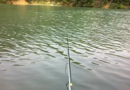 河北平山水庫釣魚收費沖突：誰該為這場紛爭負責？