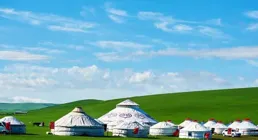 新中國郵票中的名山大川（68）呼倫貝爾草原