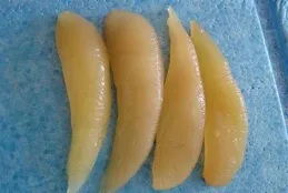 你都吃過哪些市面上很少見，不常吃到的海鮮？