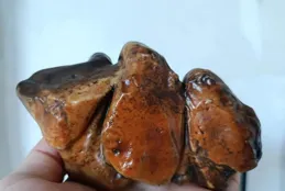 好的石頭根本不用估值，它的價值就在於你想不想擁有