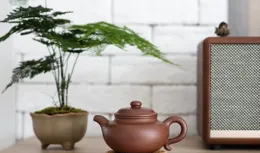 玩紫砂壺的人，為啥總說坑太多，水太深？亂象的根源到底是什麽？