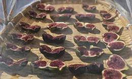 開掛區還在曬果（無花果）