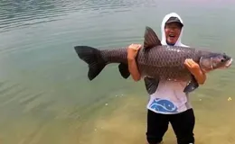 釣魚意外釣到水鳥眾釣友異口同聲放生