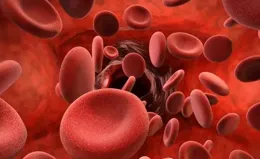 血以活為貴，瘀則百病起！1味化瘀高手，舒筋活絡，可通全身血脈