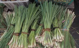 燉肉時總會放各種香料，這些香料對肉的口味口感會有什麽影響？