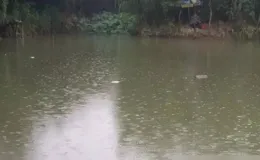 天氣突降10度以下鯽魚好釣嗎？上次魚情暴躁的小河，今天再去試試