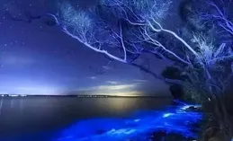 從暴雪到育碧，感覺這些大廠都已不復往日光彩，歐美遊戲行業近幾年到底怎麽了？