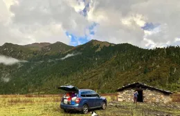 帶著狗旅行的生活如何？