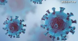 益生菌不是包治百病的「萬金油」！