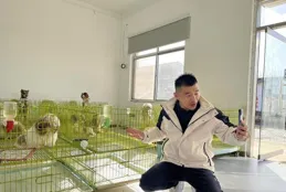 一年賣出30萬只狗，臨沂這個村為啥能出120家寵物養殖場？