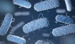 身體裏住著100萬億個細菌？揭開人體「第二大腦」腸道菌群的秘密