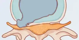 如何幫辛苦上班者按摩以緩解疲勞、預防腰椎頸椎疾病？