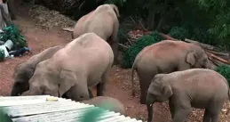 直逼20℃！四川明天繼續升溫，轉折就在→