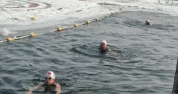 沈河冬泳基地開展「迎新春、大拜年」冬泳活動