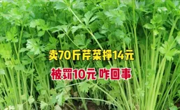 馬上評｜賣芹菜賺14元罰10萬元：法條≠法治，機械≠公正