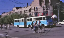 記憶中的沈陽大東遊泳場（一）