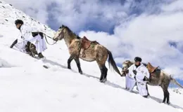 1982年10月，衛生員和戰友最後一次執行任務，結局讓人唏噓