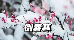 13號雨雪已定，新一輪寒潮大降溫，今年是一龍治水，倒春寒來了？