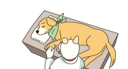 死的時候會疼嗎？