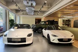 汽車平行進口商：一年凈虧一輛邁巴哈，但還有更大的夢想｜在春天許一個願望③