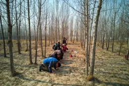 今年手機靜悄悄，年味越來越淡了。