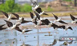 合力共建地球生命共同體