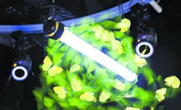 飛蛾為啥繞燈飛？或另有緣故