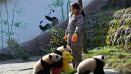 大熊貓福順的故事