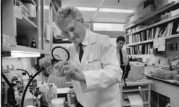 美白化妝品中的有效美白成分主要有哪些？