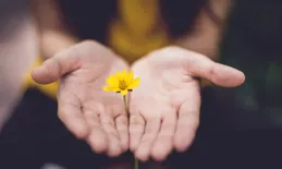 穩投資挺經濟，國務院常務會議連推五項舉措：盡快發力！