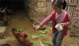 歲孫女不會刷碗，被奶奶狂扇耳光並大聲責罵，兒子一句話她蒙了