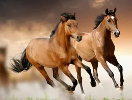 咋「掙」10個億？解密金通靈巨額財務造假「三步曲」——李代桃僵、無中生有、金蟬脫殼